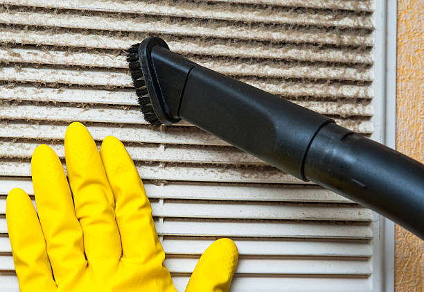 Best Home Air Vent Cleaning  in Ozona, TX